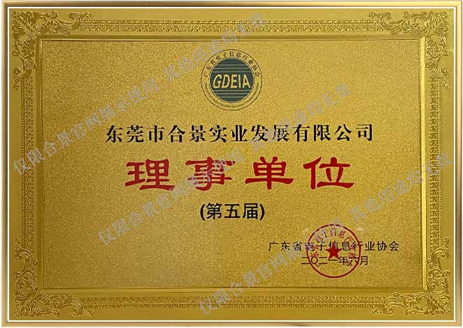 廣東電子信息協(xié)會理事單位